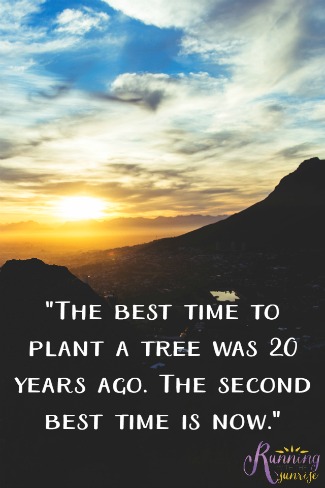 best time to plant a tree